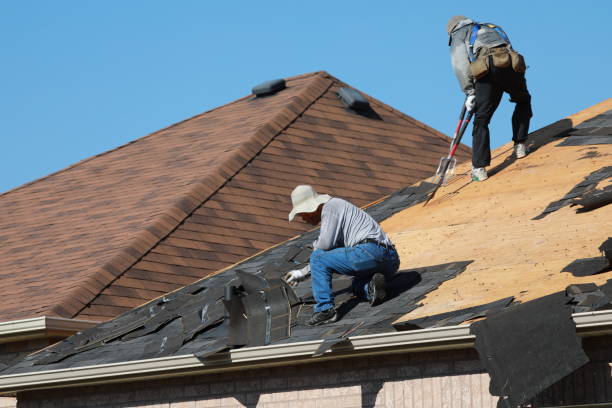 Best Asphalt Shingles Roofing  in Sayre, OK